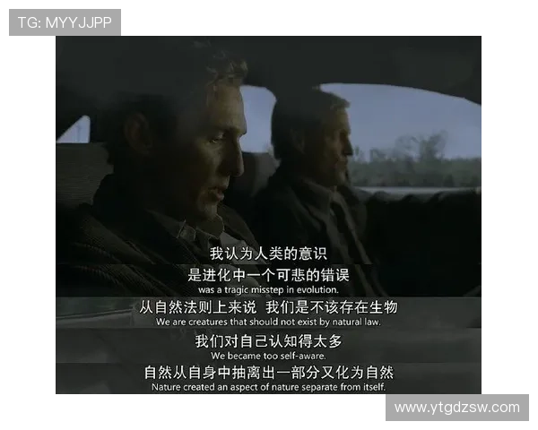 穿越迷雾，解码奇案：一场智与勇的荧屏盛宴